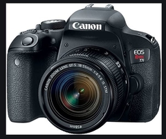 EOS Rebel T7i Kit 18-55 Is Stm - comprar online