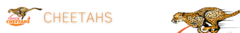 Banner de la categoría Cheetahs