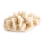 Coral Esponja - comprar online