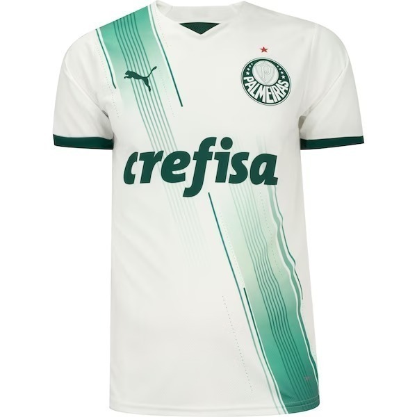 Camisa Palmeiras 'Outubro Rosa e Novembro Azul' 2023/24 Puma Torcedor  Masculina