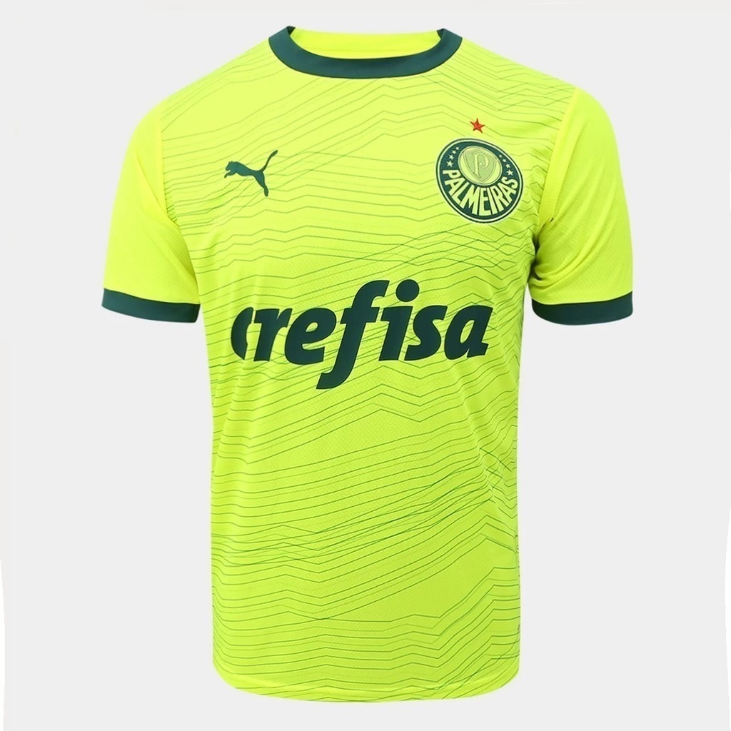 Camisa Palmeiras 'Outubro Rosa e Novembro Azul' 2023/24 Puma Torcedor  Masculina