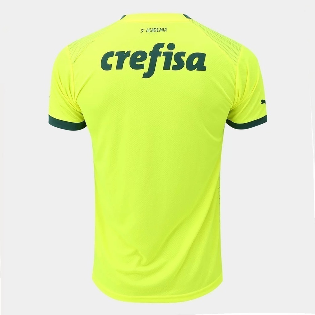 Camisa Palmeiras 'Outubro Rosa e Novembro Azul' 2023/24 Puma Torcedor  Masculina