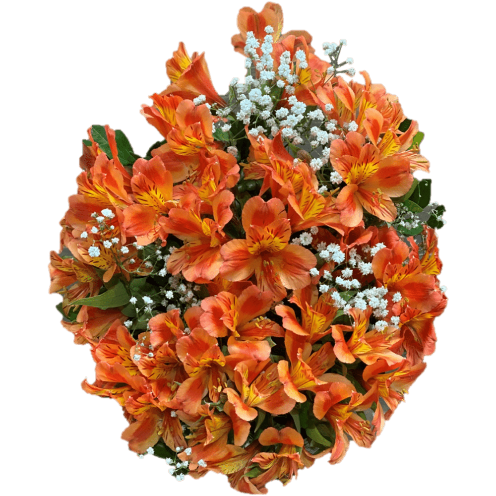 Mini Bouquet Astromélia Coral - Ferreira Flores