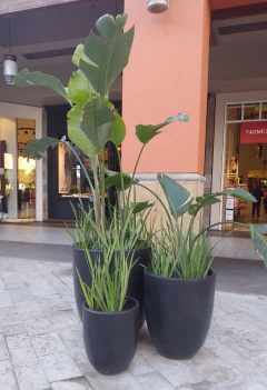 plantas entrada edificio