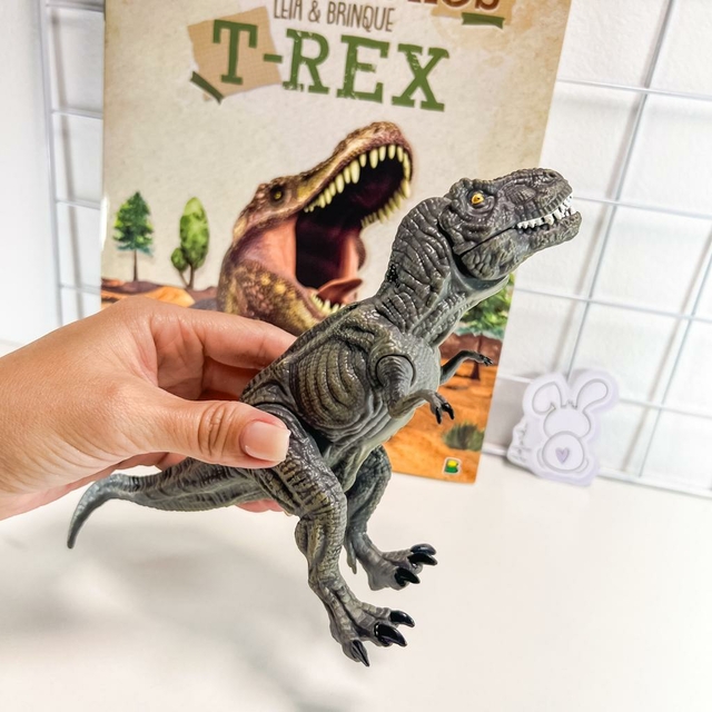 Livro - Desenterre um Dinossauro: T-Rex - Livros de Literatura Infantil -  Magazine Luiza