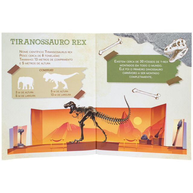 Livro Infantil Desenterre um Dinossauro: T-Rex Todo Livro 1146785 -  Papelaria Criativa