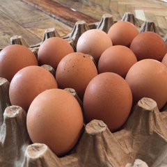 Huevos de gallinas pastoriles (x docena)