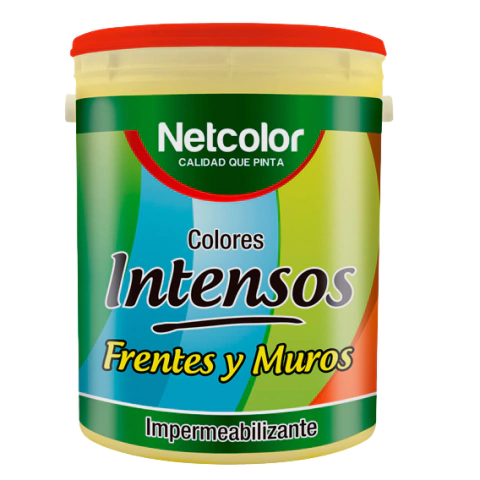 Net Color Intenso Frente y Muro 20LTS Amarrillo