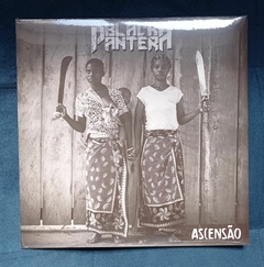 LP BLACK PANTERA - ASCENSÃO - comprar online