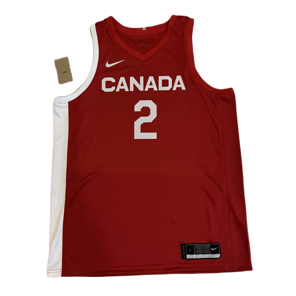 Assistir a um jogo de basquete no Canadá - 2023