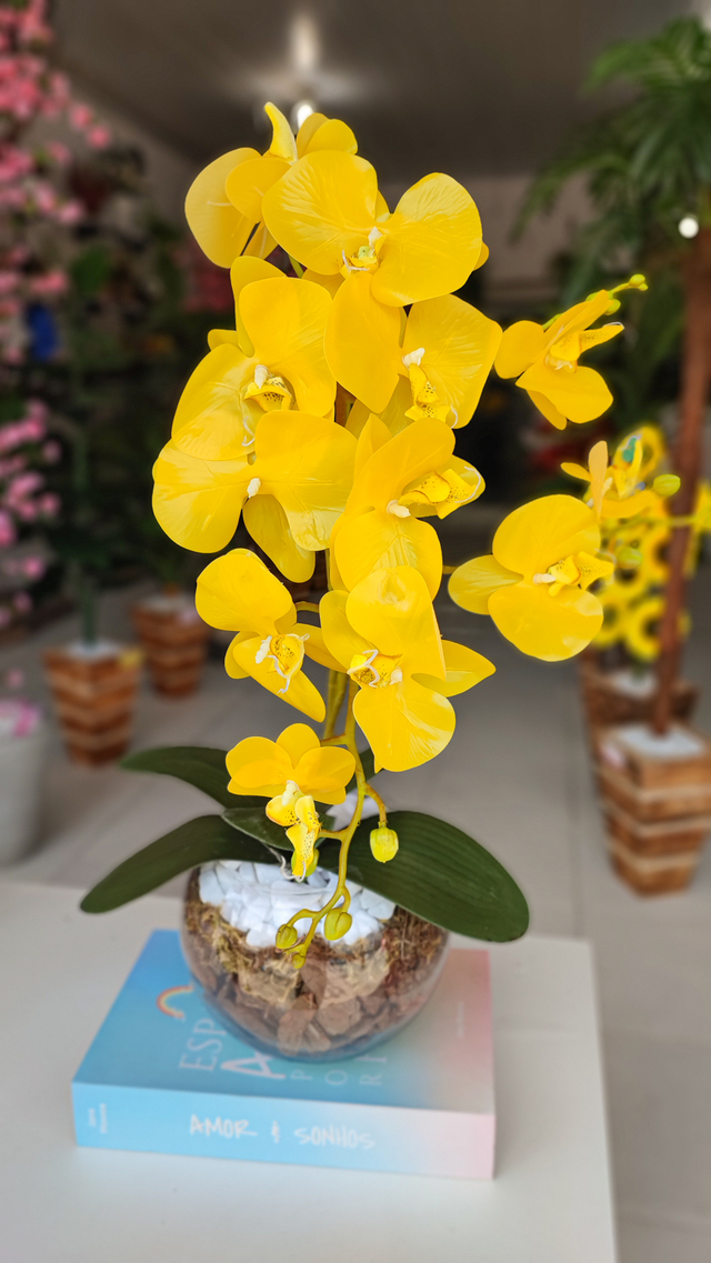 Orquidea Amarela no Aquario de Vidro - 50cm