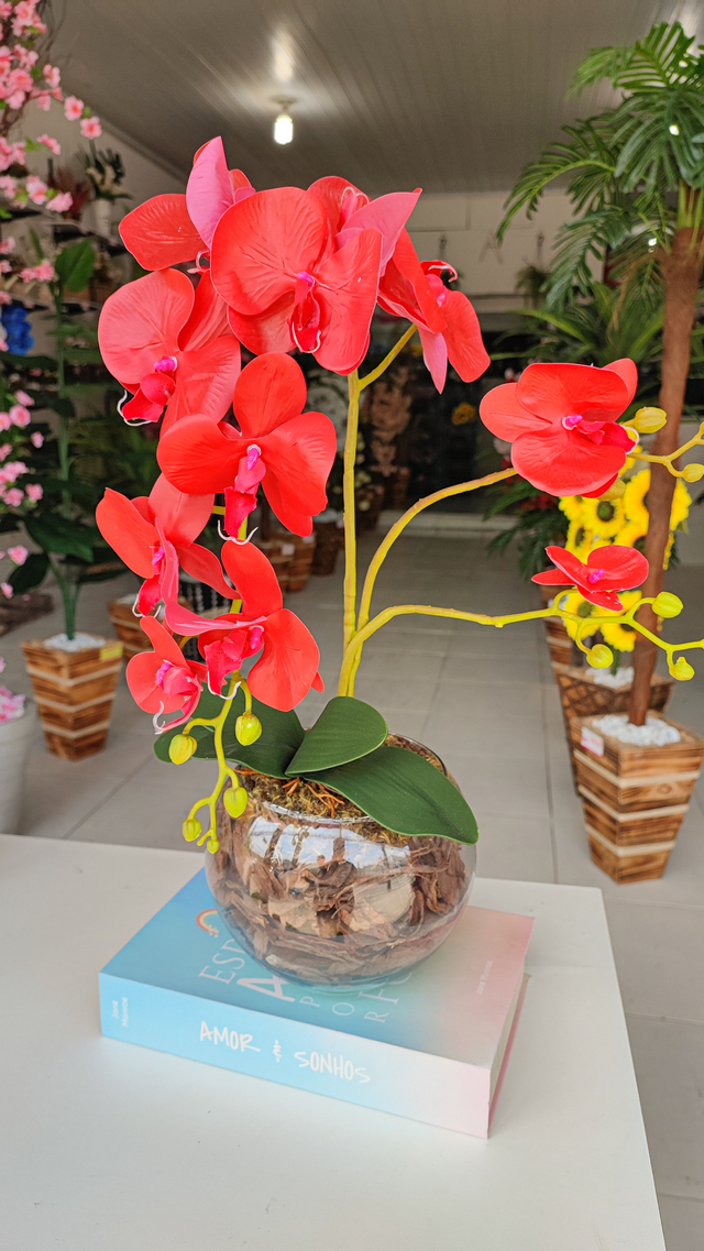 Orquidea Mesclada no Aquario de Vidro - 50cm