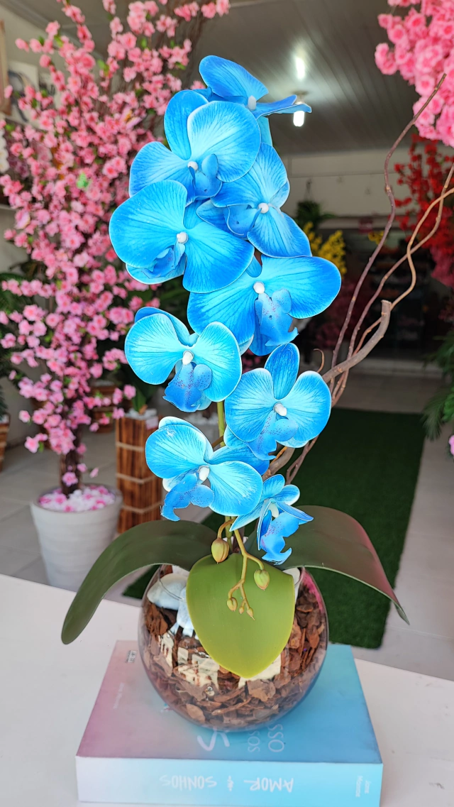 Orquidea Blue Silicone no Aquario de Vidro - 50cm