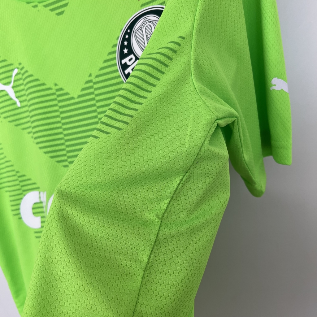 Camisa Palmeiras Goleiro 2023/24 Puma Jersey Verde - Masculina