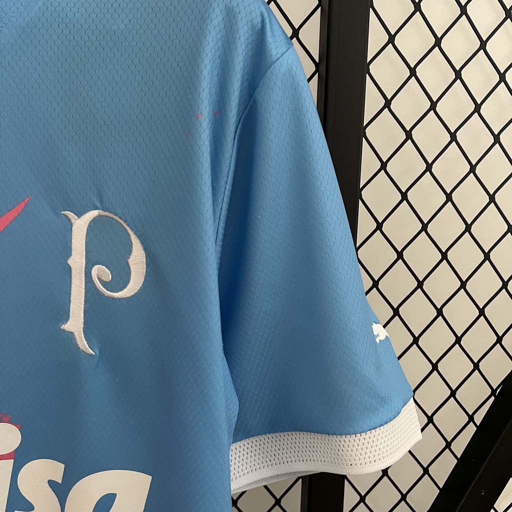 Camisa Palmeiras 'Outubro Rosa e Novembro Azul' 2023/24 Puma Torcedor  Masculina