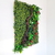 Wallgreen 45x60 Payunia jardin de pared artificial - comprar online