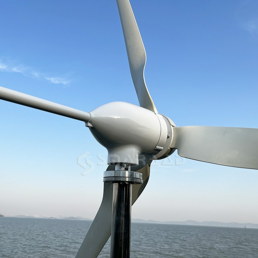 Gerador de turbinas eólicas O eixo horizontal 3000 w 3/5 lâminas moinho de  vento 12