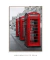 Quadro Telephone