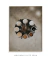 Quadro Tons de Café