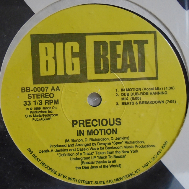 Vinil Precious Rap - Hip Hop