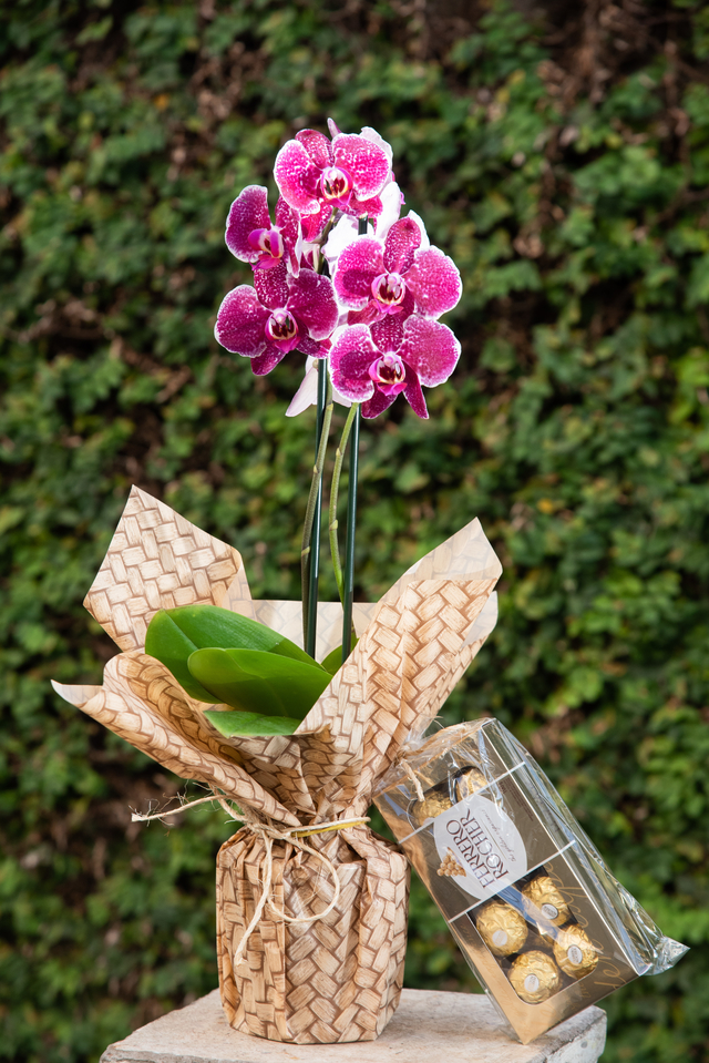 Orquídea e Ferrero Rocher - Aniel Flores e Presentes