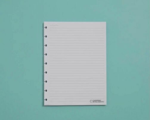 Estojo Inteligente Crystal Cool Grey - Caderno Inteligente ®