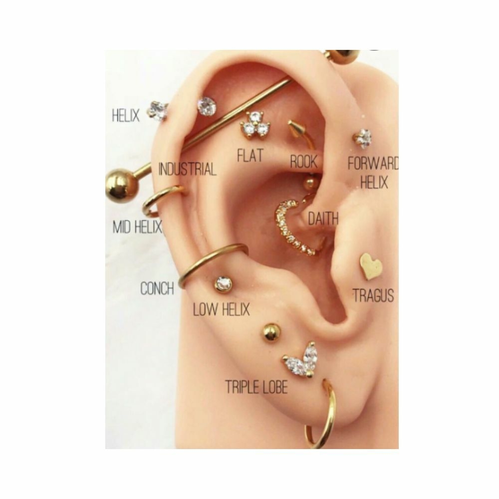 Piercing Daith Coração Liso com Zircônia Prata 925 Direito