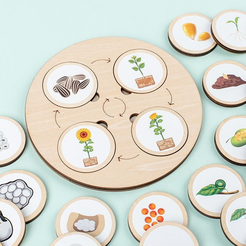 Kit Montessori Biologia e Ciência