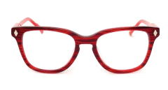 Armazon receta Pierre Cardin Mod 5553