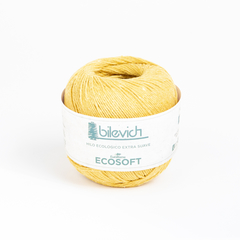 ECOSOFT en internet