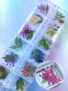 Caja flores secas - Comprar en todo_para_tus_unias Caja flores secas - Comprar en todo_para_tus_unias