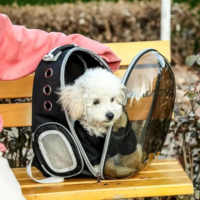 Mochila Transportadora Para Gato Mochila Porta Mascotas