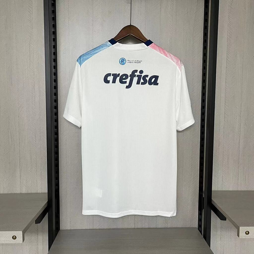 Camisa Palmeiras 'Outubro Rosa e Novembro Azul' 2023/24 Puma Torcedor  Masculina