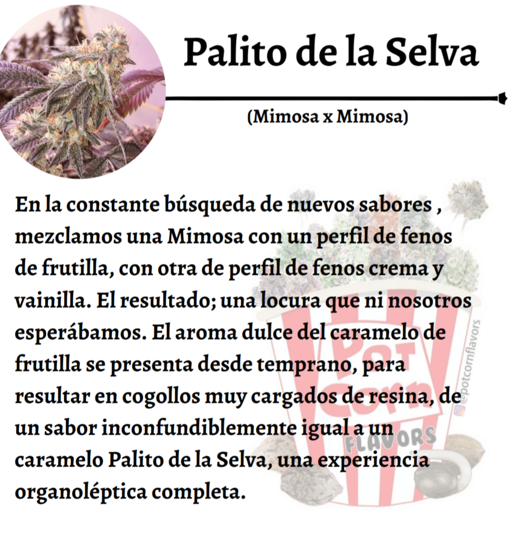 un palito un palito un palito de la selva