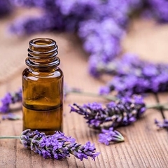 Aceite Esencial puro x 10cc LAVANDA