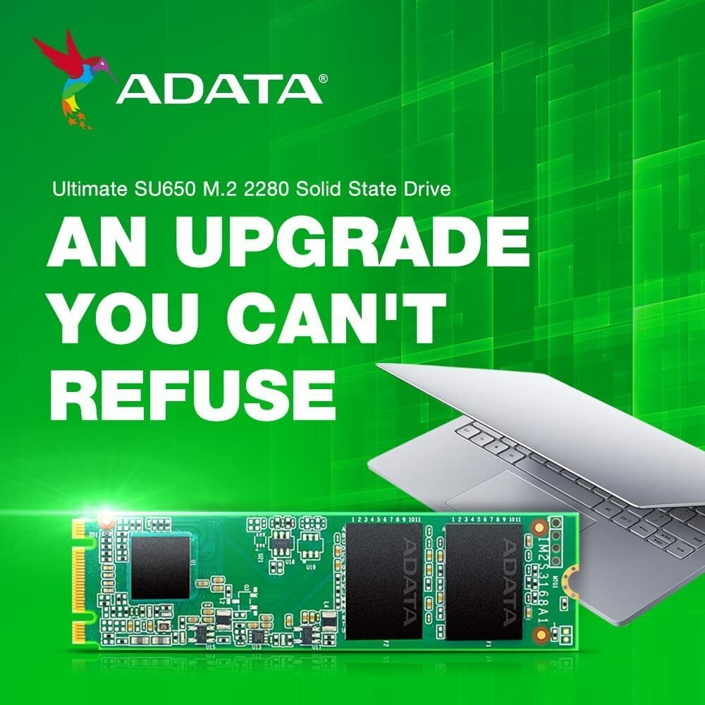 DISCO SOLIDO SSD M.2 2280 ADATA SU650 240GB (HAV)