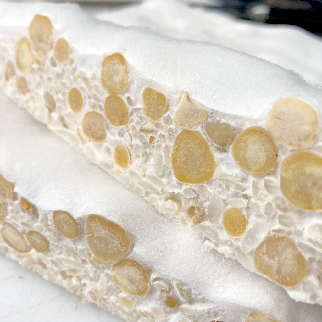 Starter para tempeh esporas rhizopus oligosporus