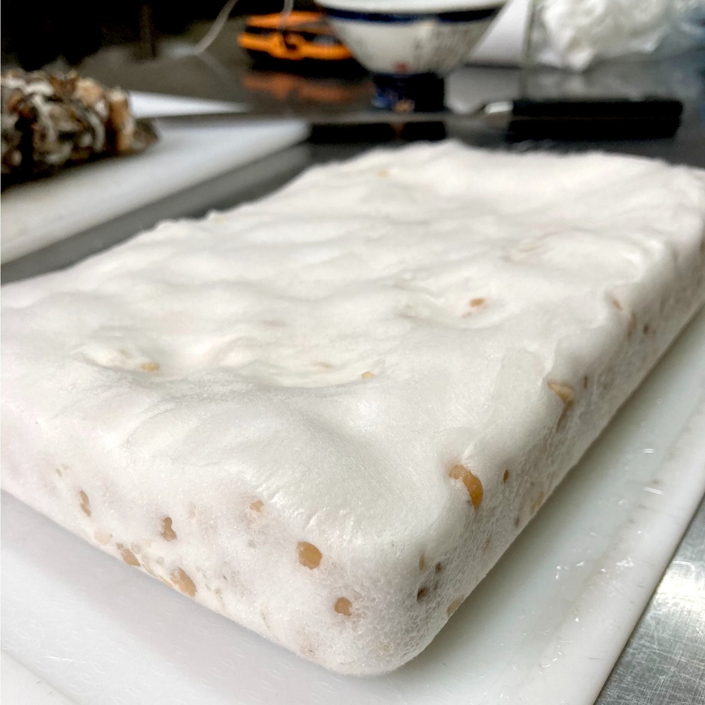 Starter para tempeh esporas rhizopus oligosporus