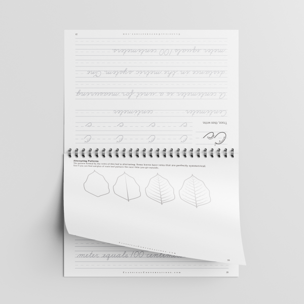 PreScripts Cursive Words: Math Terms