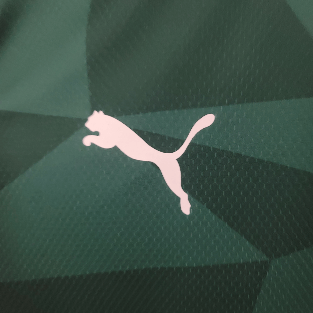 Camisa Palmeiras I 23/24 Torcedor Puma Masculina - Verde