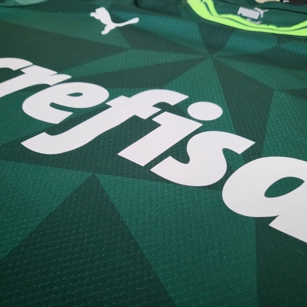 Home – Palmeiras