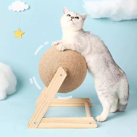 gato dobrado - Mola túnel para gatos tipo S  coelho com bolas e brinquedos  gato ao ar livre para gatinho jogo interativo Lafan : .com.br: Pet  Shop