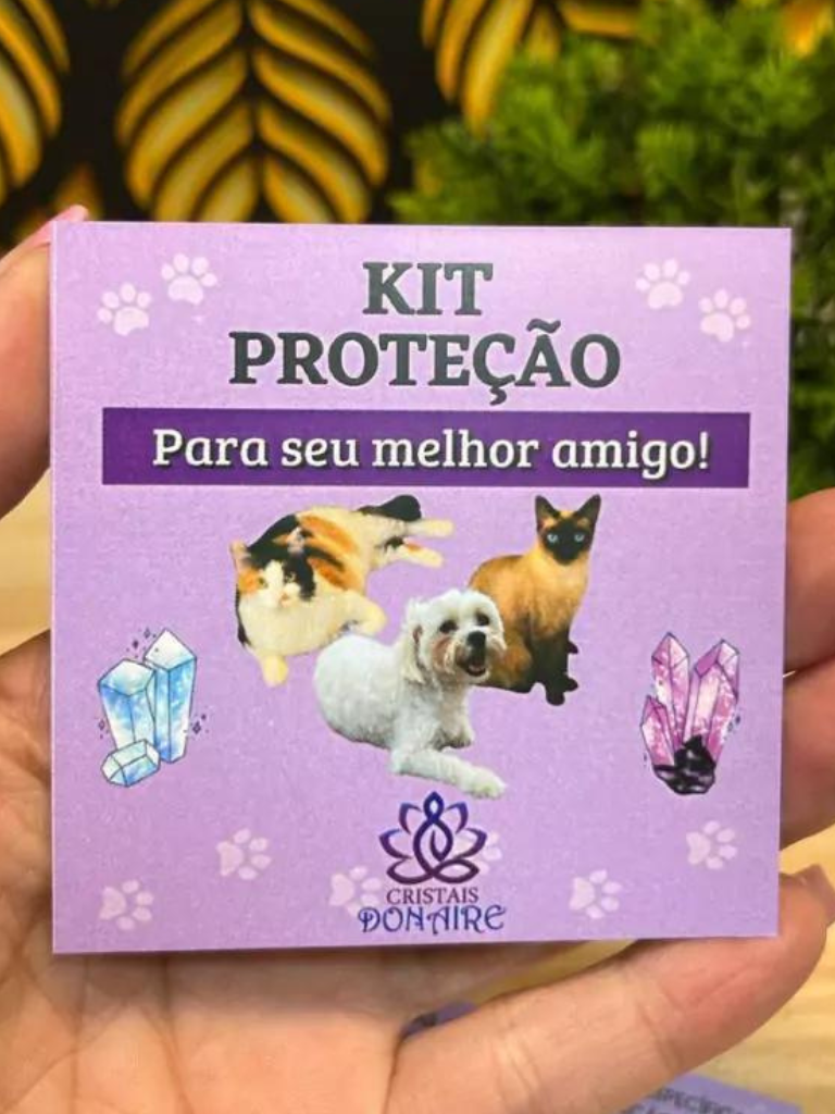 Quem é o seu melhor amigo?