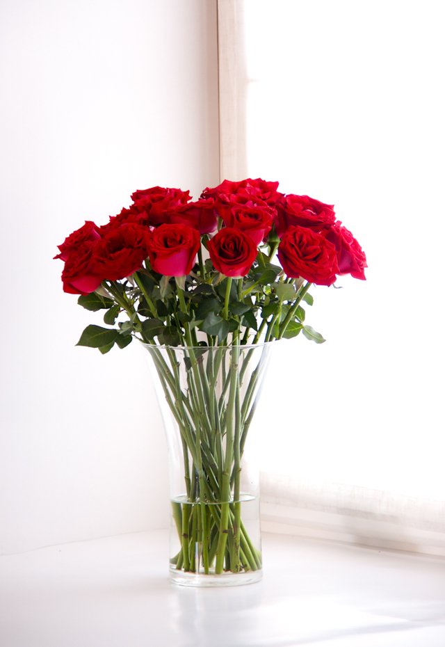 RO 20-Florero con 2 docenas de rosas - comprar online