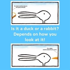 Duck! Rabbit! - Children's Books