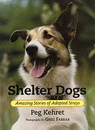 Shelter Dogs: Amazing Stories of Adopted Strays