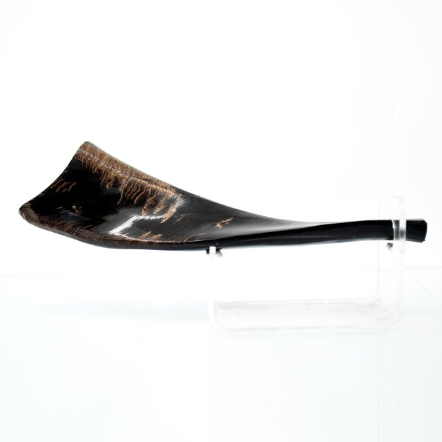 Comprar Shofar de cabra en hasofrim