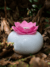 Difusor UltrasÛnico. Lotto Rosado Ceramica Blanco