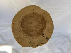 Tocho de madera - 25 x 45 cm - comprar online