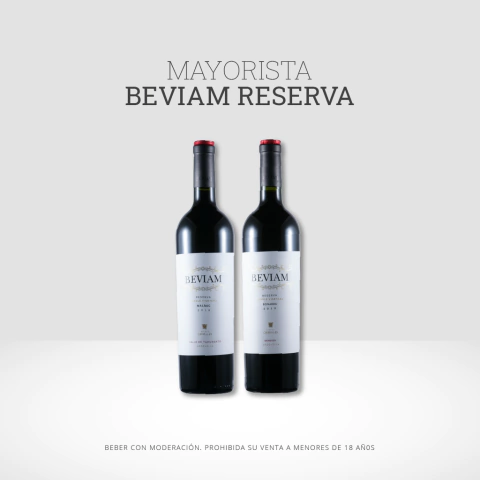 Promo Mayorista Beviam Reserva 24 botellas